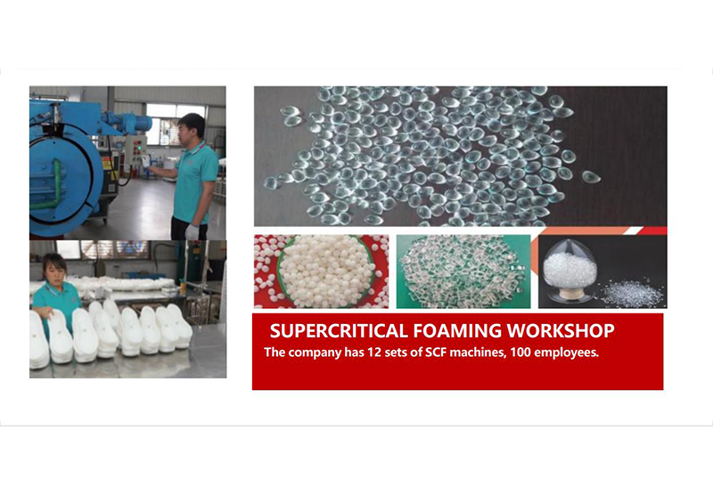 SUPERCRITICAL FOAMING WORKSHOP